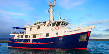 Cachalote Explorer